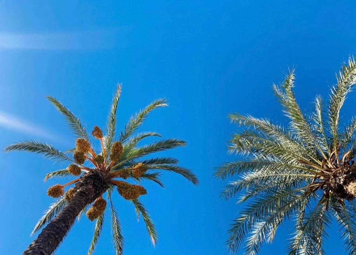 La Margarita Apartman Torrevieja Kültér fotó